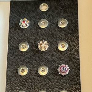 Magnolia and Vine Large Snaps